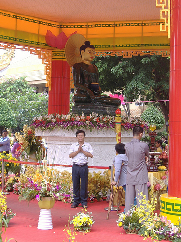 Tra_DienPhatNgoc2