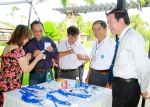 IMG_7200 (Medium)